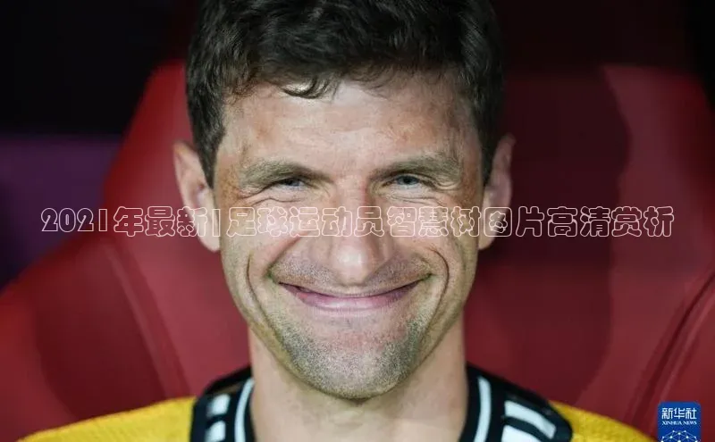 BEAT365唯一官网赛富乐斯