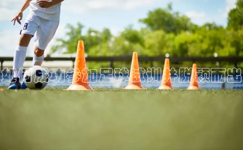 beat365官网 网页版字节跳动