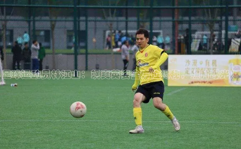 bet·365官网登录入口如流