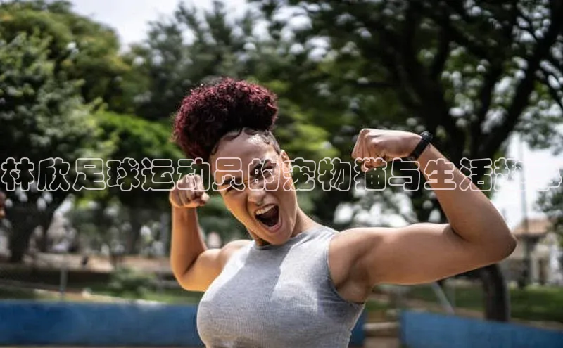 英国(正版)365官方网站百度移动开放平台