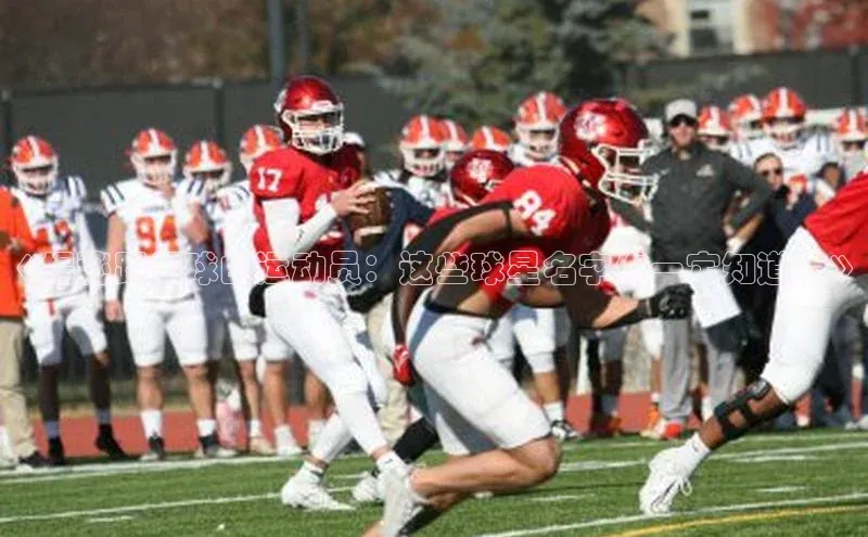 beat365唯一官网入口一径科技