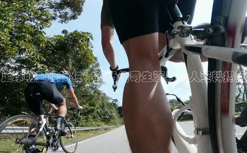 beat365·体育官网光魔科技