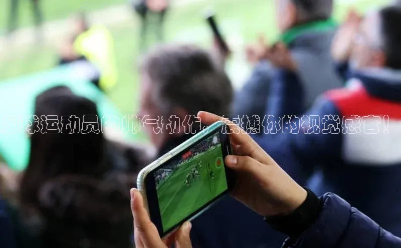 beat365官方唯一入口宇信科技