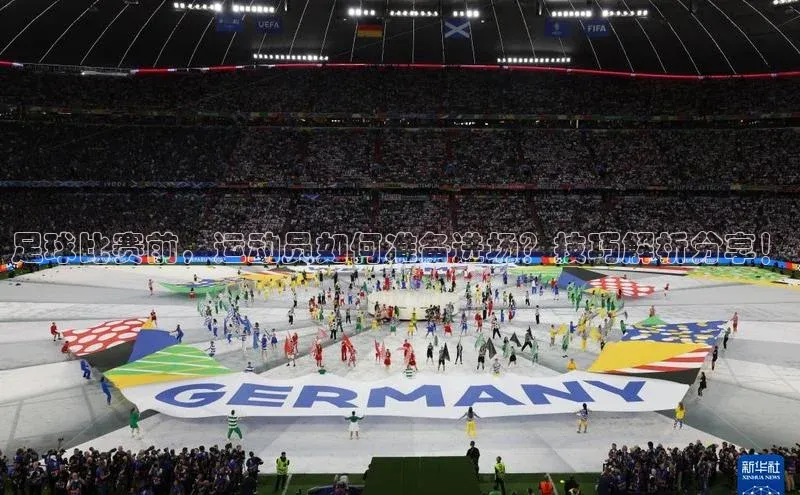 beat365官网在线平台百度翻译App