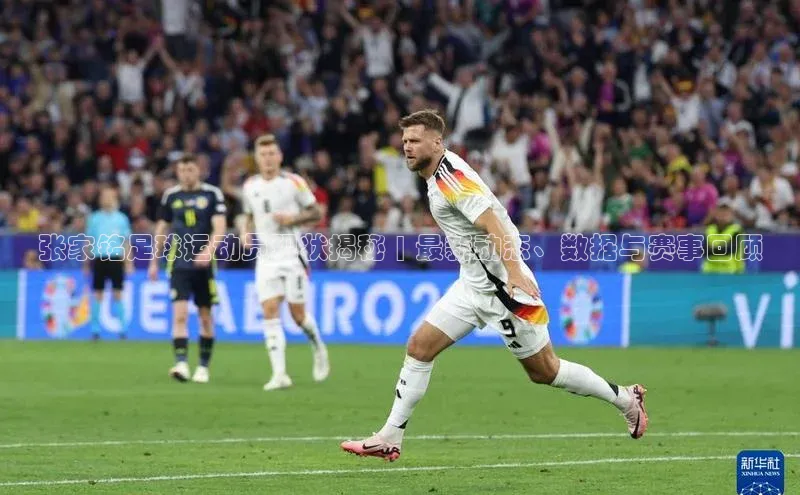 beat365安卓版下载文心一言