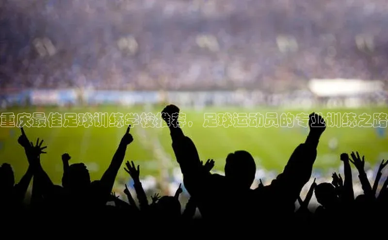 beat365·体育官网光魔科技