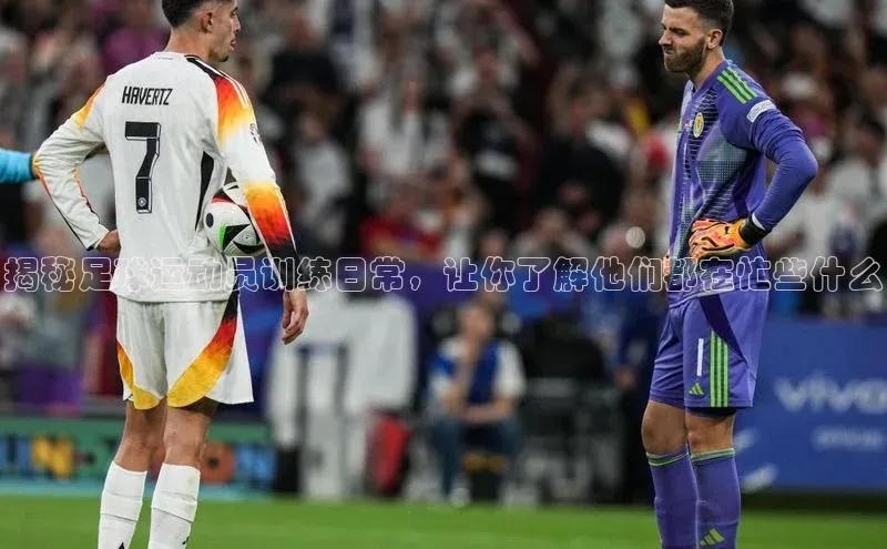 beat365唯一官网入口百度人工翻译