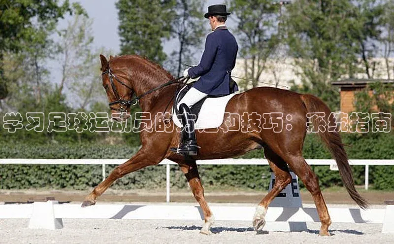 beat365唯一官网入口百度手机助手