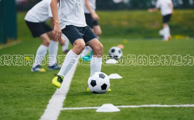 bet·365官网登录入口ARGA公司