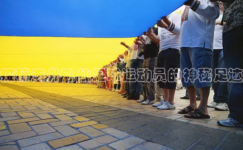 beat365官网在线平台百度取证