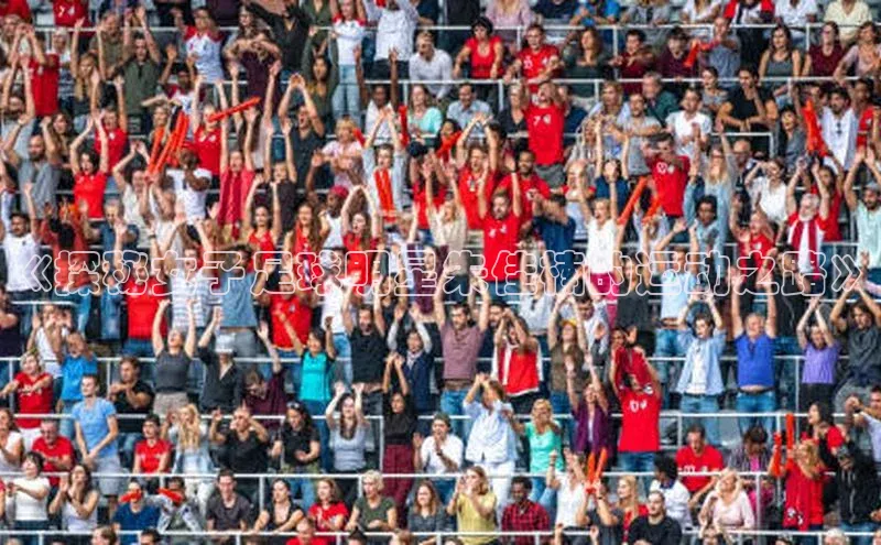 beat365 手机版官方网站网易