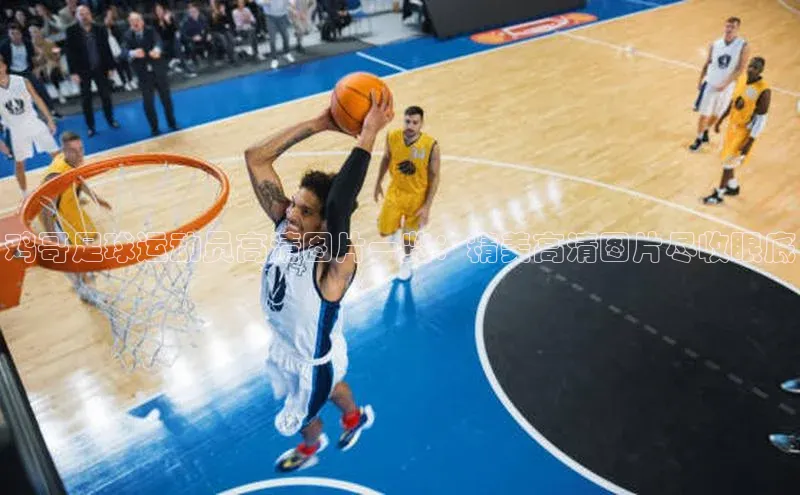 bet·365官网登录入口京东