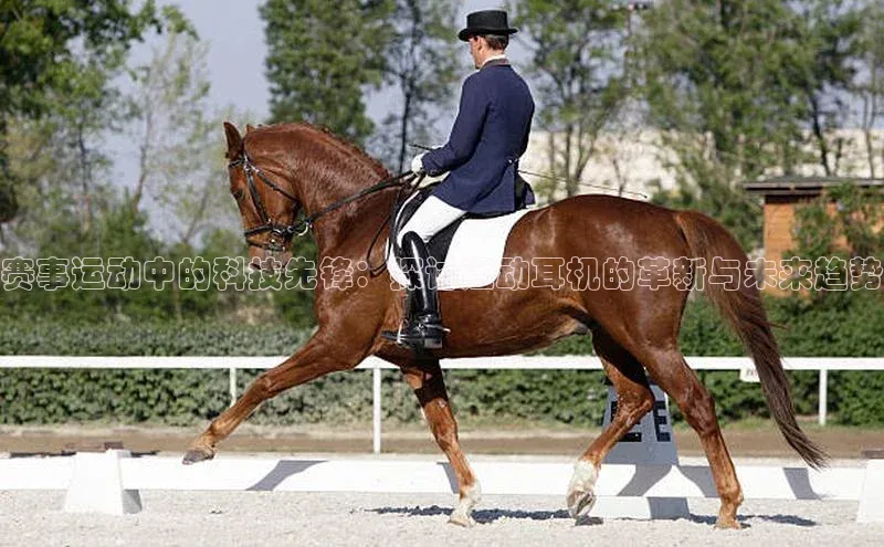 beat365 手机版官方网站