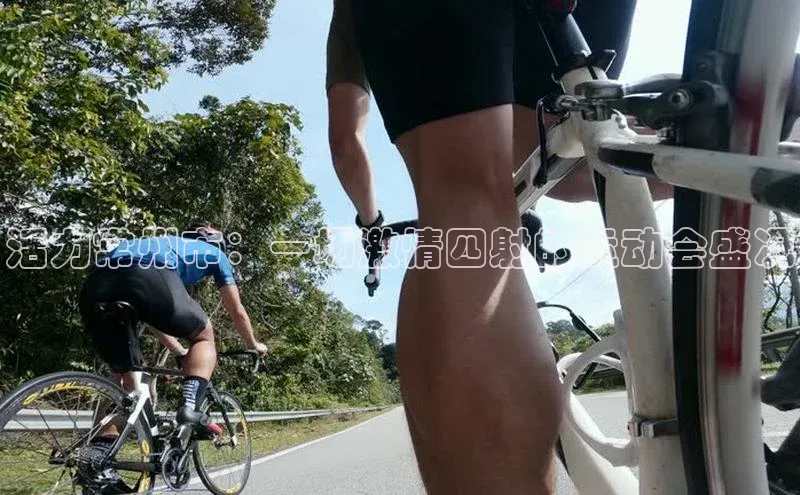 beat365安卓版下载