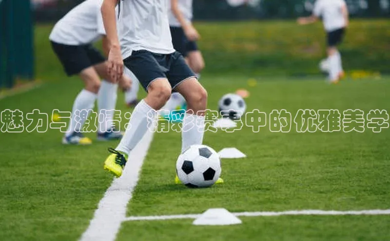 beat365安卓版下载